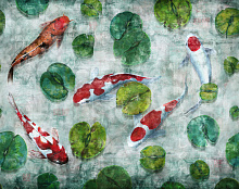 Factura FAUNA KOI 5